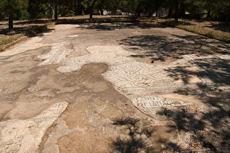 Αρχαία Συναγωγή στην Αίγινα: Διατήρηση και ανάδειξη του ψηφιδωτού (βίντεο)